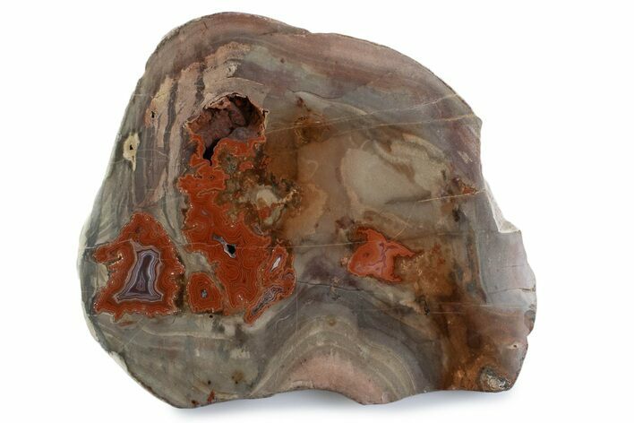 Polished Devil's Red Agate Slab - TeePee Canyon, South Dakota #373413